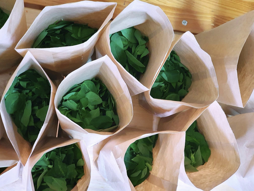 D:\ChiYen download\A Bài đăng Web\15.jpg