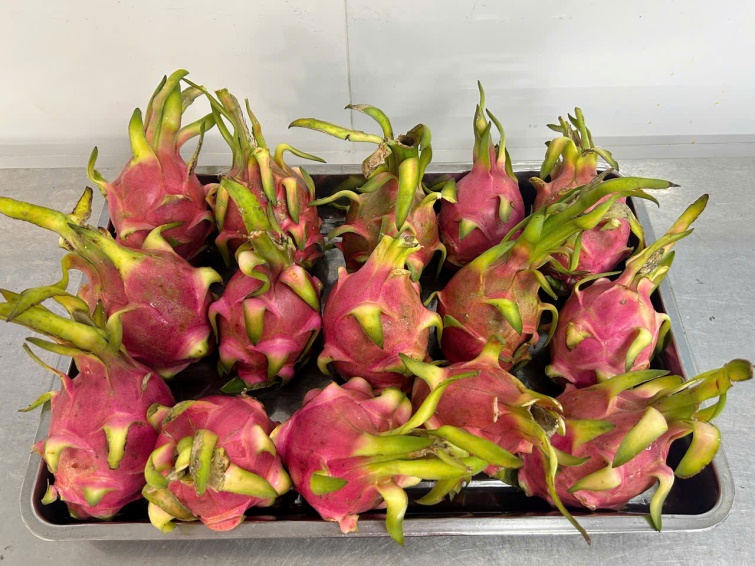 G:\Diễm MG Tuổi thơ\DU LIEU CAC NAM\3. NUOI DUONG\Ảnh PH nhận TP\gen-h-z7121345374297_874dd3977b3ccd7f7d8c461670dc432a.jpg