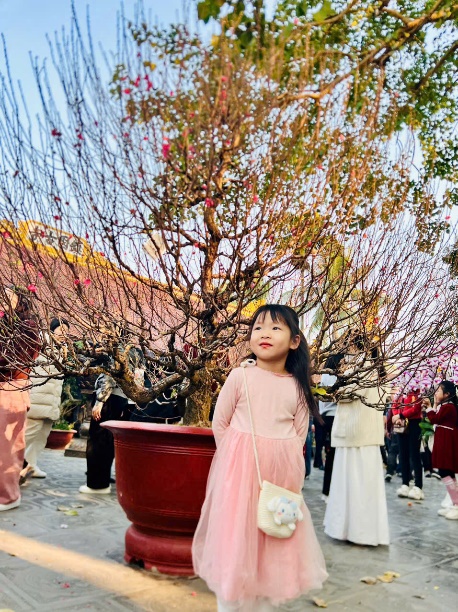 C:\Users\hp\Desktop\Ảnh B3\z6346714026306_e77bc064a980b588a6e685f6b349f192.jpg