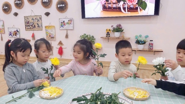 tìm hiểu hoa cúc.jpg