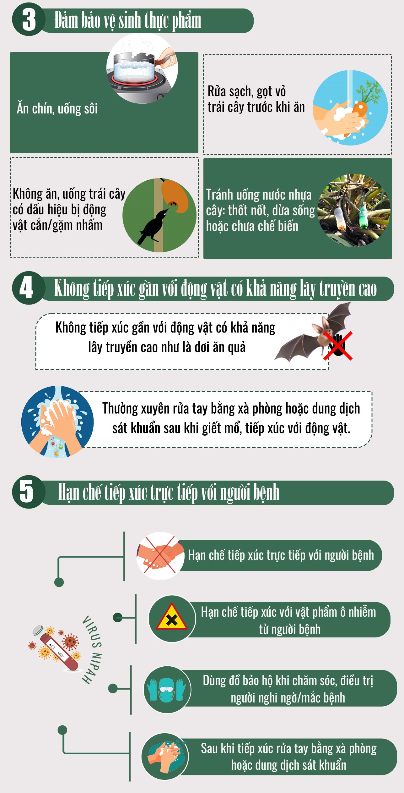 5 điều cần lưu ý để phòng bệnh do Virus Nipah